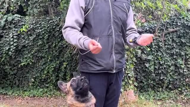 Siguenos en nuestro Instagram para mas contenido perruno