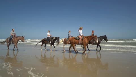 Tour Group on Horses Along Beach