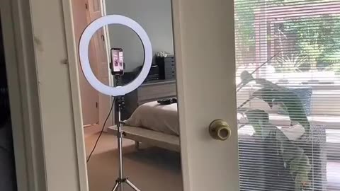 Changing room girl oops movement pov- look in the mirror