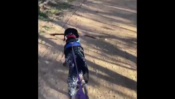 Found a stick on the ground and now I'm gonna' use it.