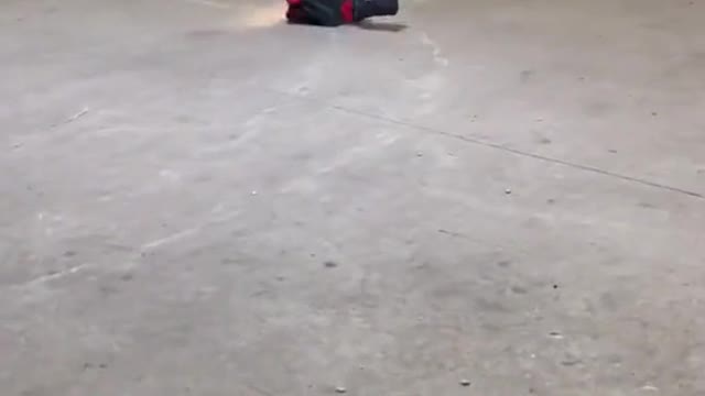 Model performance demonstration