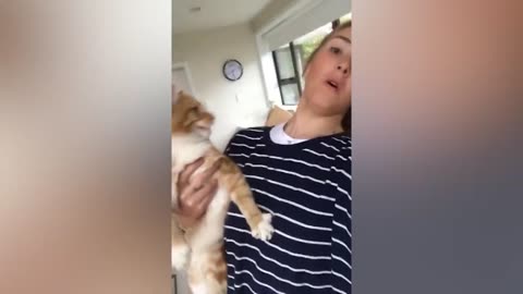 Funny animals