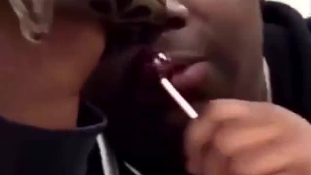 snake licking lollipop take me away vine