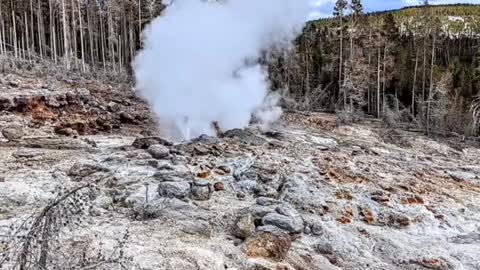 Yellowstone is such a cool place!