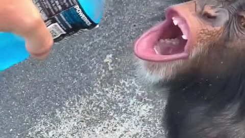 just a sip!