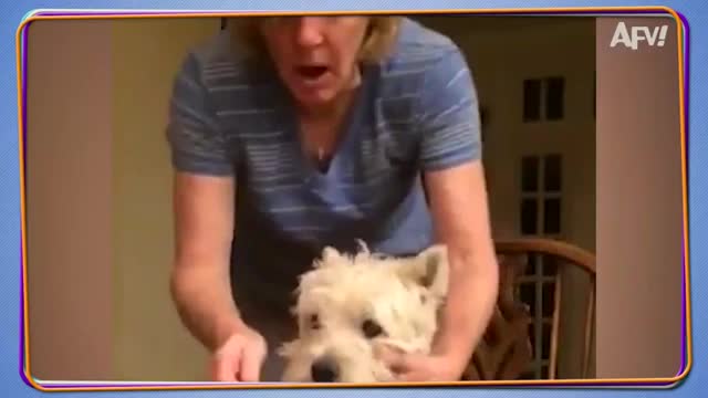 Try Not To Laugh Challenge! 😂 Funniest Fails of the Week | Live AFV