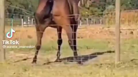 A good laugh