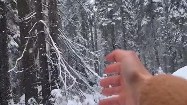 pov: it's winter time in Yosemite National Park