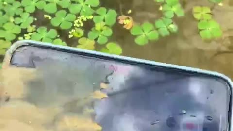 How to Shoot Videos and Photos 😄🖼️ Check Guys