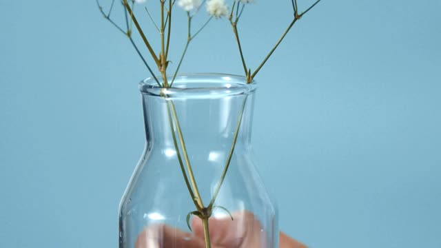 Asmr Video 2