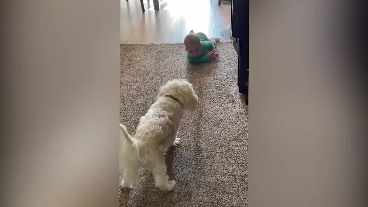 Cute babies with pets funny moments