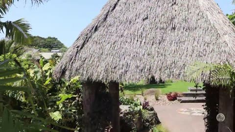 Auckland Botanic Gardens New Zealand 新西兰奥克兰植物园