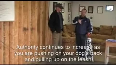 How to overcome Food Aggression with your Dog - Part 5
