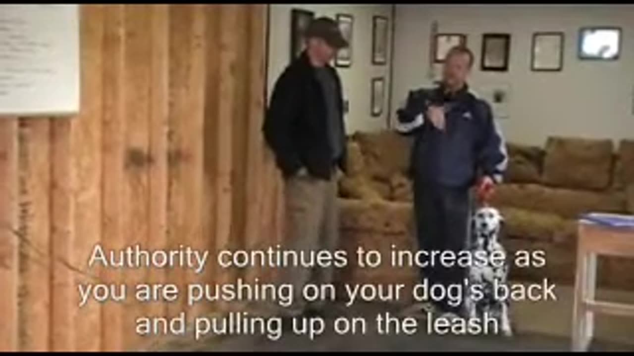 How to overcome Food Aggression with your Dog - Part 5