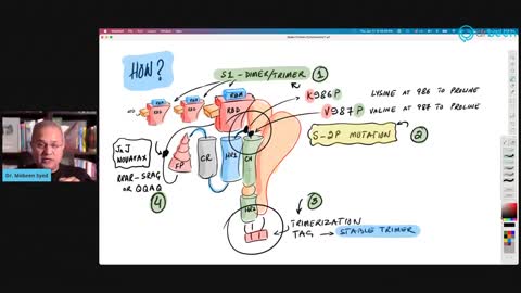 CRYOTOXICITY THE SPIKED PROTEINS CAUSE CLOTTING