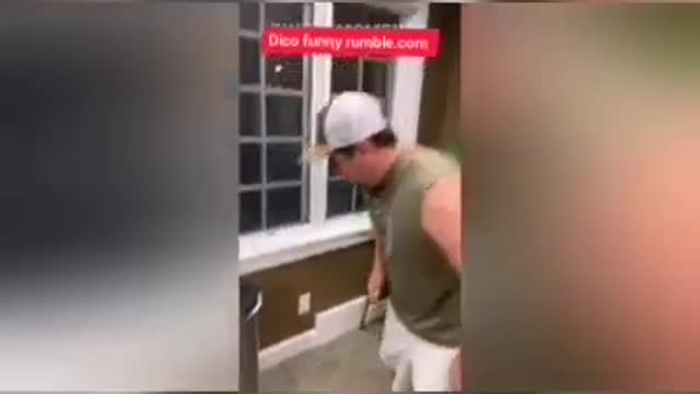 Smart And Funny Parrots - Parrot Talking Videos /Funny Moment