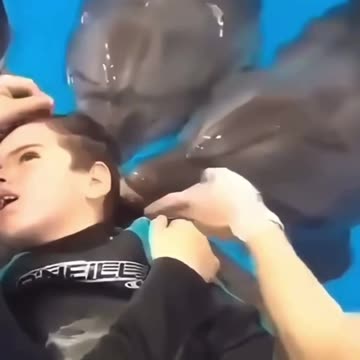 Dolphins are the best doctors 🐬