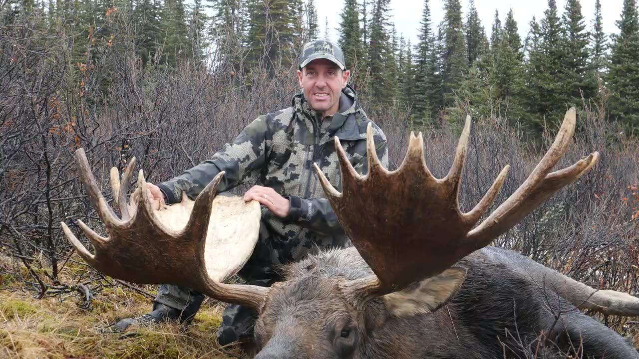 Top 10 Compilation of the most remarkable kill shots