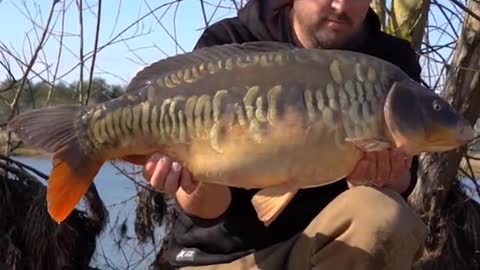 Chris Catching a Scaly Mirror 🤩