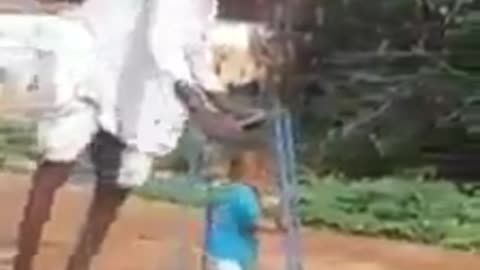 Great helping nature