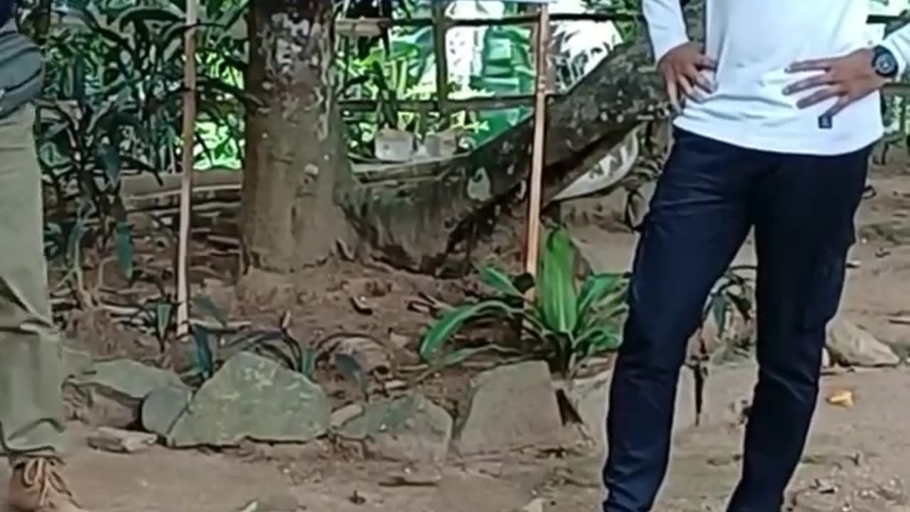 Trust Lift #WildfeatAdventure #TrustSwingGame #TeamBuilding, #OBT #Teamwork #LeadershipDevelopment