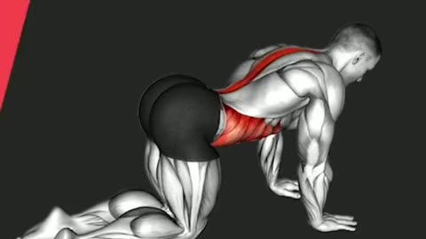 5 Effective Exercises for Alleviating Back Pain