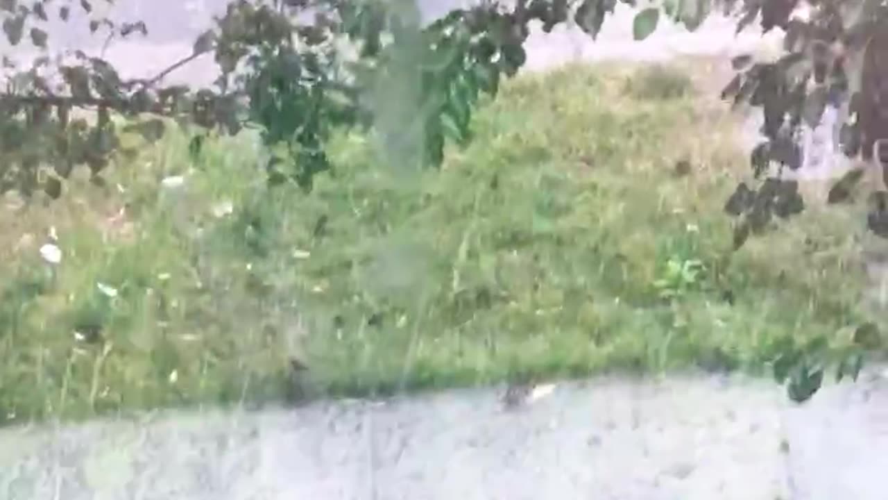 Rainfall June 23rd 2023 #3