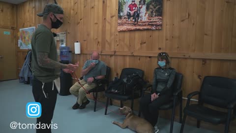 TERRIFIED PITBULL. AFTER THIS ITS LIFE CHANGED!
