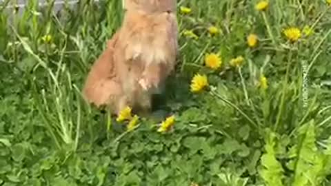 You don’t have to please nobunny
