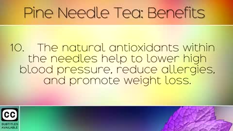Pine Needle Tea: Benefits and Recipe