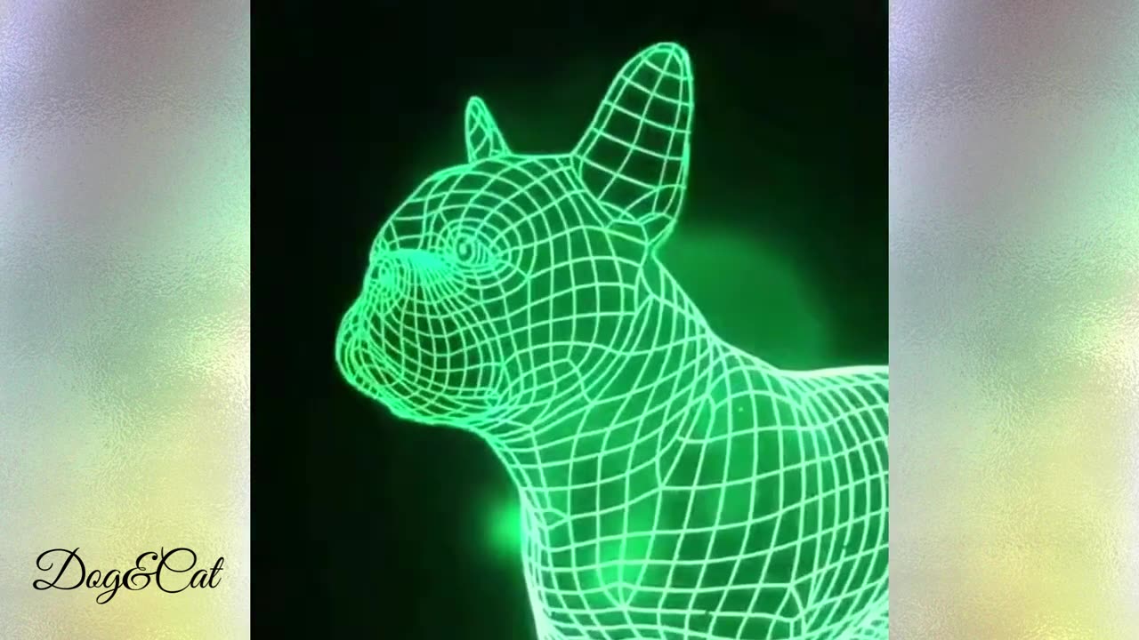Frenchie's being funny! Compilation video