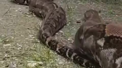 OMG