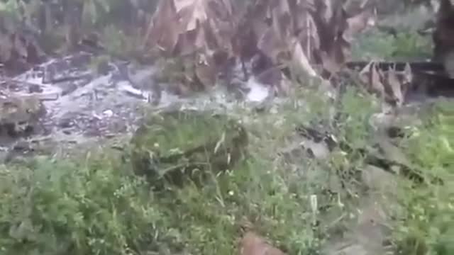 Video: Fuerte granizada sorprendió a habitantes de Oiba este jueves