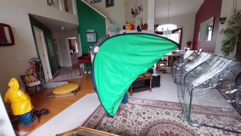 Silly and Fun Folding Green Screen Like a Pop Up Tent for Easy Storage Live Stream Photos Backdrop