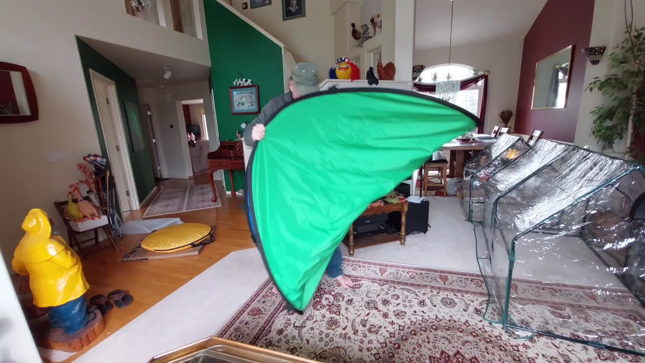Silly and Fun Folding Green Screen Like a Pop Up Tent for Easy Storage Live Stream Photos Backdrop