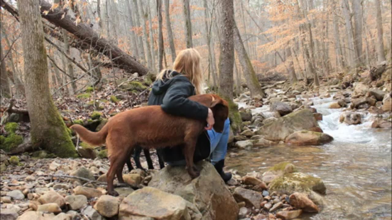 My "Waay back yard" in the Appalacian Mountains, SE Tennessee