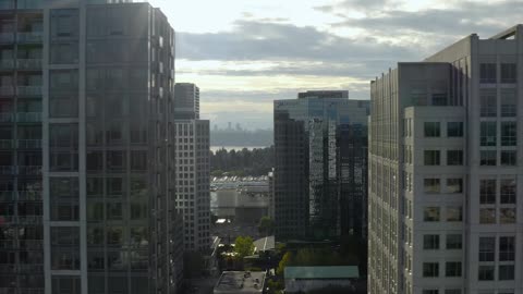 Rex Tech Ventures