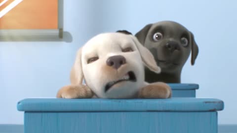 Dog training videos With music #funnyvideo