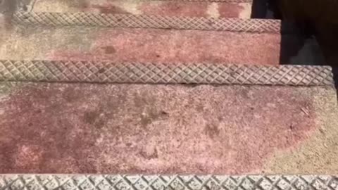 Satisfying video