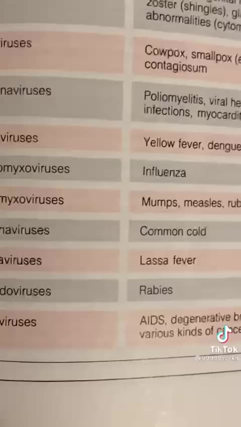 WHAT IS COVID REALLY? ⚡