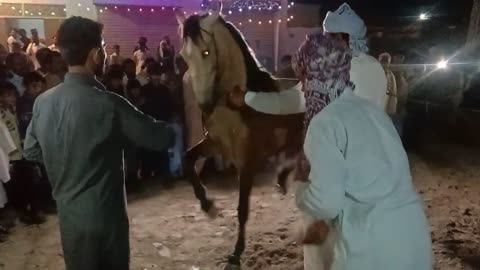 Pakistan Punjab chiniot amazing vlogs | horse play game And dance