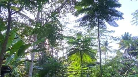 PRAMANA GIRI KUSUMA ~A Healing Sanctuary