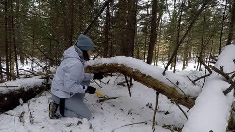 Winter Bushcraft: Camping with my Husky (-20⁰C)-13