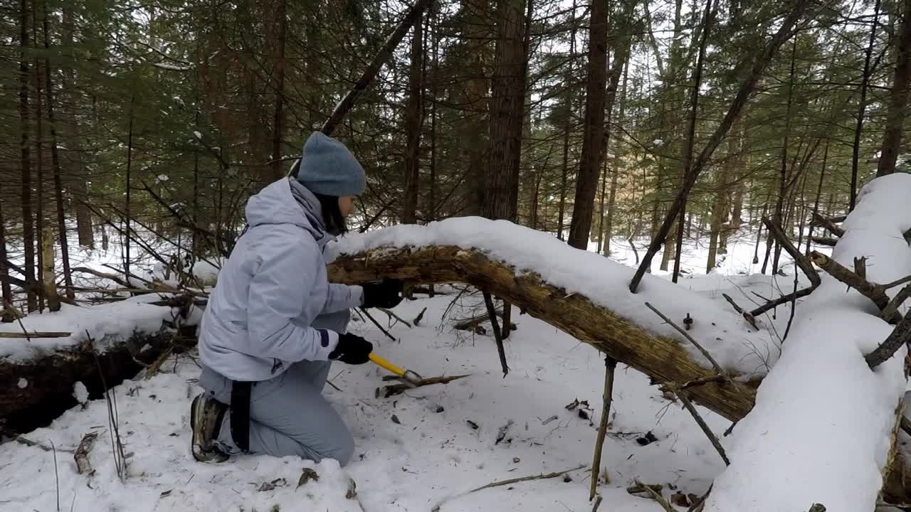 Winter Bushcraft: Camping with my Husky (-20⁰C)-13