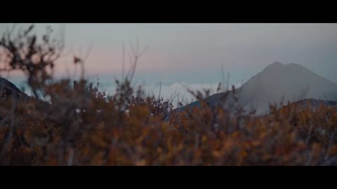 Sony A7III x Bali | Cinematic Video
