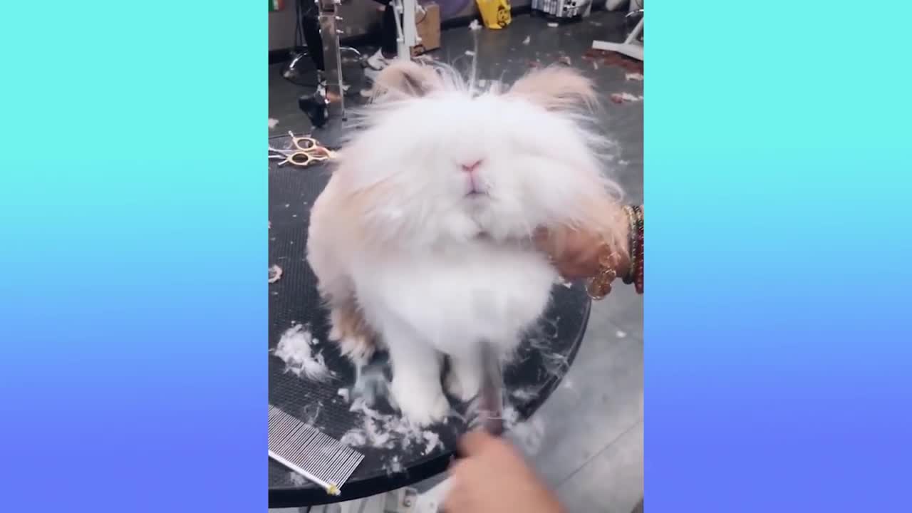 Oddly Satisfying Video to Watch Before Sleep for Ultimate Relaxation