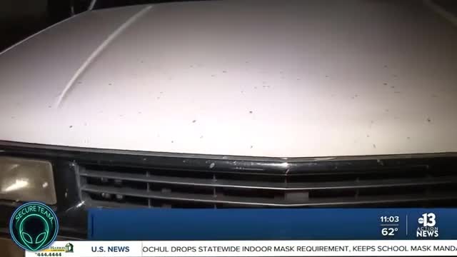 DARK Mystery Liquid Falling From Sky Over Las Vegas