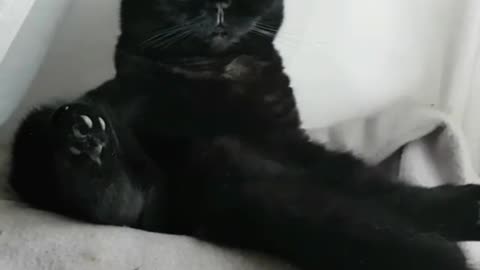 I haven't seen his limbs yet. Where are they