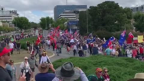 Sea of Aussies hit the capital Canberra, patriots and flags as far as the eye can see