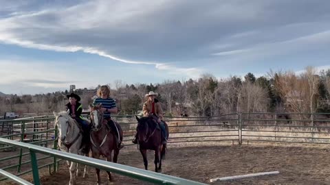 Grandsons and horses